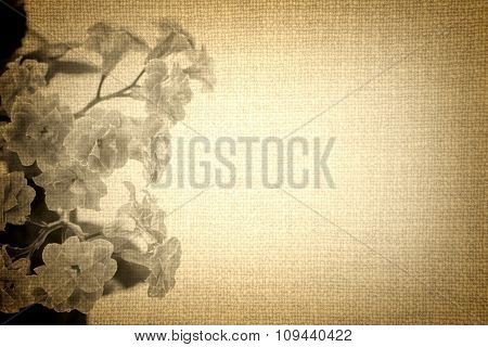 Flowers Of Kalanchoe Plant On Old Brown Cloth Texture Vintage Styled High Contrasted With Vignetting