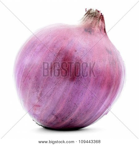 Red onion, whole vegetable isolated on white background