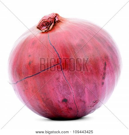 Orange onion with cracks on skin isolated