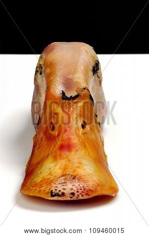 dead duck's head