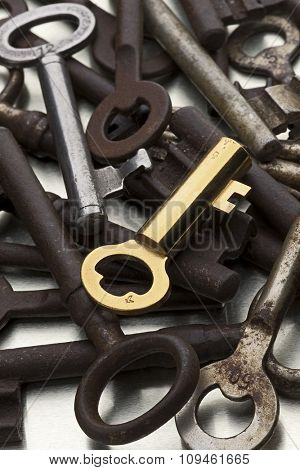 golden key amid rusty ones