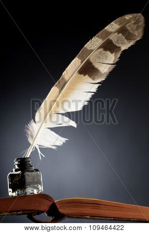 a feather quill in an ink bottle on an open book