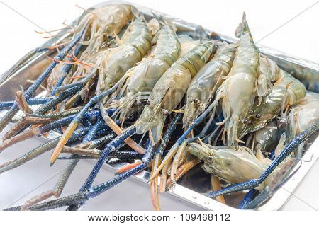 Raw River Prawn