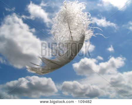Plumelet