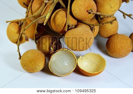 Longan Thai fruit on the branch