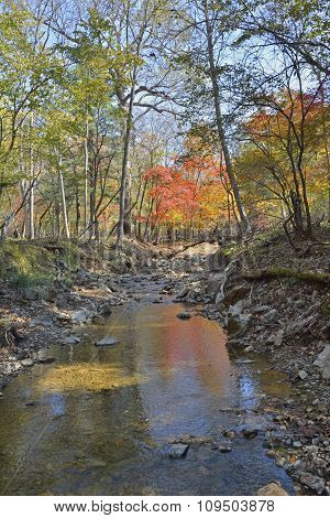 Autumn Woodsy River