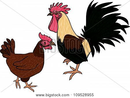 rooster and chicken