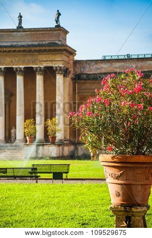 Belvedere Courtyard