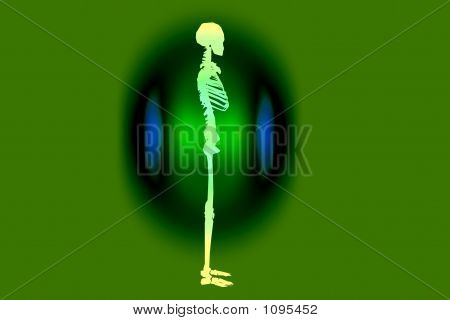X-ray Scanner