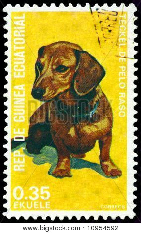 Vintage posta pulu. Kısa saçlı Dachshund.