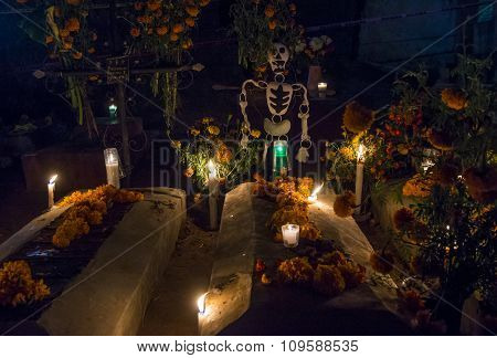 Day Of The Dead