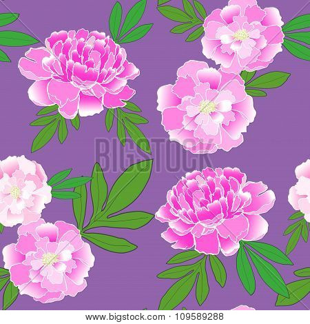Seamless pattern with hand-drawn pink peonies