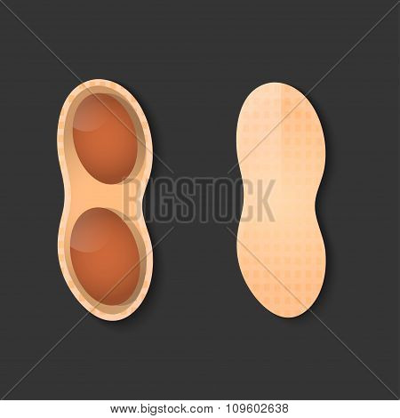 Peanuts. Vector Illustration