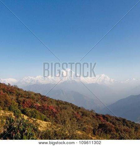 trekking At Poon Hill in Nepal.