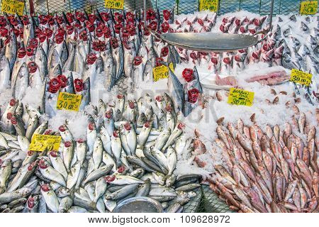 Great choice of fresh fish