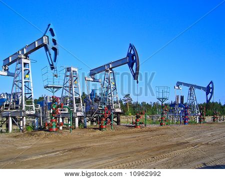 Surgut Yağ pompaları