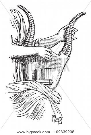 Lyre horn, vintage engraved illustration. Private life of Ancient Antique family 1881.
