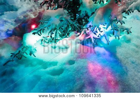 Decorated fir tree with the snow on branches.