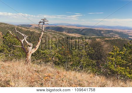 Serbian highland