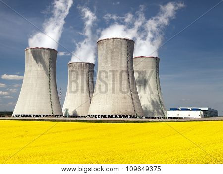 Cooling Tower And Rapeseed Field