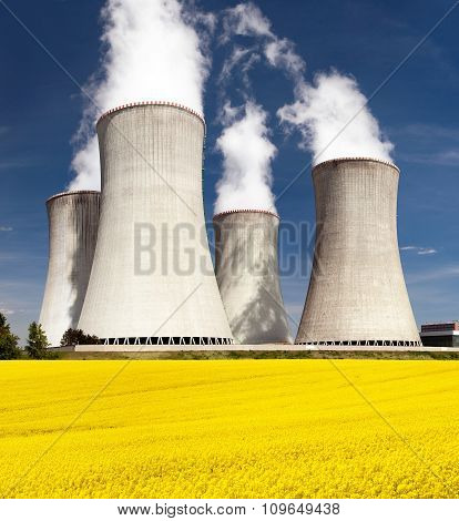 Cooling Tower And Rapeseed Field