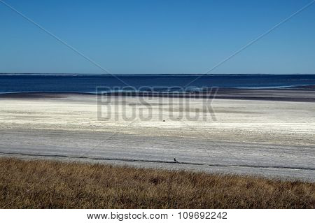 Makgadikgadi Pans