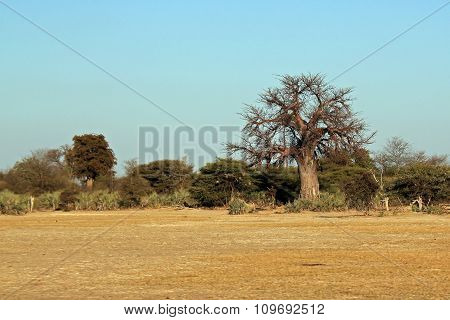 Mahangu National Park