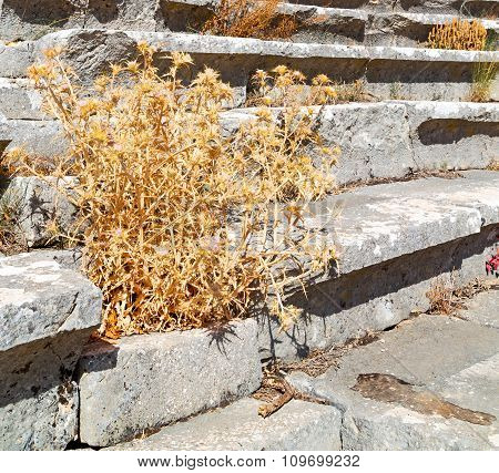The Old  Temple And Theatre In Termessos Antalya Turkey Asia Sky And Ruins