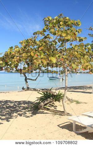 Jamaica Beach And Blue Caribbean Sea
