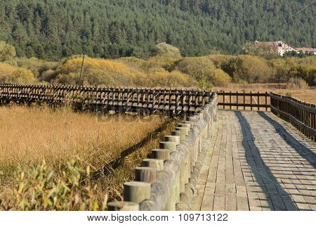 walkway
