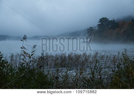 morning mist