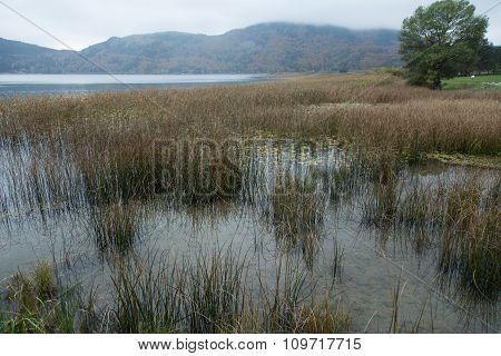 view of Lake Abant