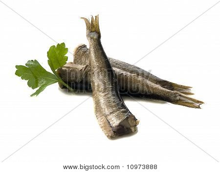 Skarpsill