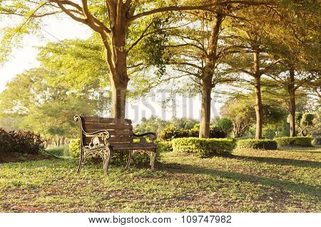 Blank Old Vintage Wooden Bench Under Tree Shade At Public Park