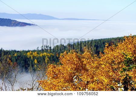 Great Overcast Over Alsace. View From Top Of The Mountain.