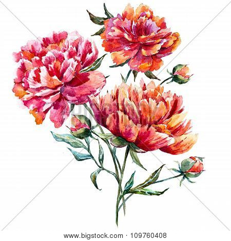 Watercolor raster peony