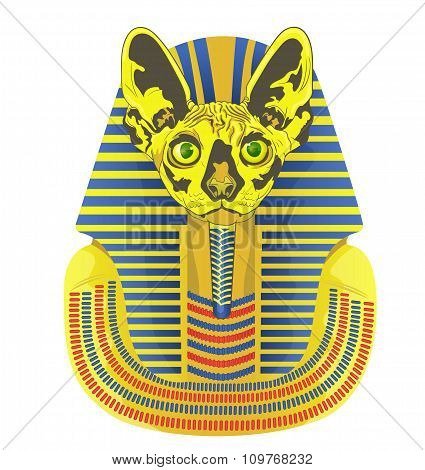 Pharaoh Was The Head Of A Cat