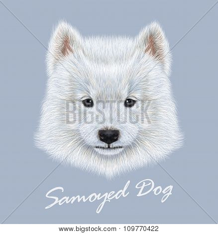 Vector Illustrated Portrait of Samoyed dog.