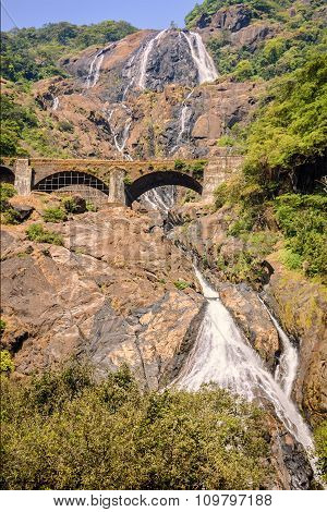 Bottom Of Dudhsagar Falls In The Tropical Jungle Of India
