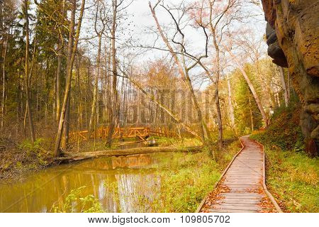 Autumnal Valley 'peklo' In Czech Nature With Creek