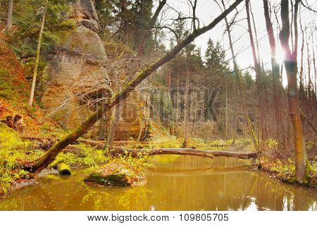 Creek In 'peklo' Valley In Autumnal Czech Nature