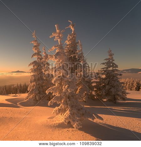 Fantastic orange evening landscape glowing by sunlight. Dramatic wintry scene with snowy trees. Kukul ridge, Carpathians, Ukraine, Europe. Merry Christmas!
