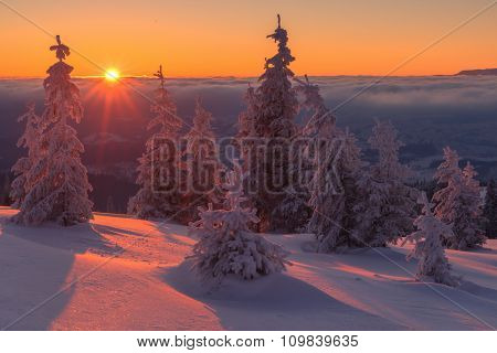 Fantastic orange evening landscape glowing by sunlight. Dramatic wintry scene with snowy trees. Kukul ridge, Carpathians, Ukraine, Europe. Merry Christmas!