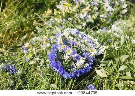 The Wreath Of Daisies In A Field