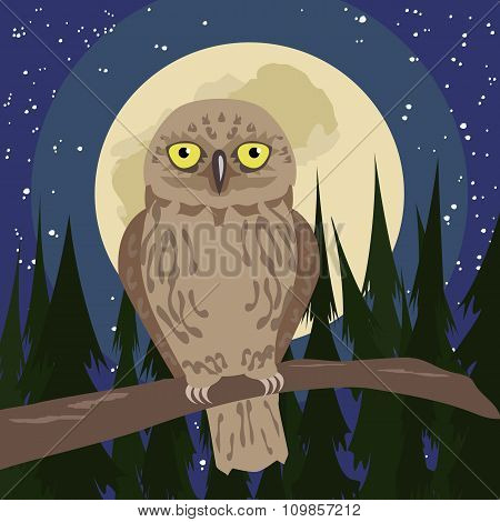 owl at woods with full moon