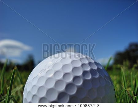 Golf Ball (close up)