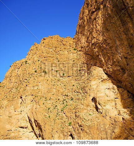 In Todra Africa Morocco The Atlas Dry Mountain
