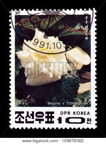 1991 North Korea