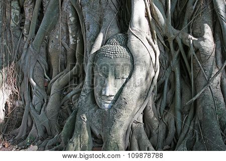 Buddha Head in Tree Roots, Wat Mahathat, Ayutthaya, Thailand