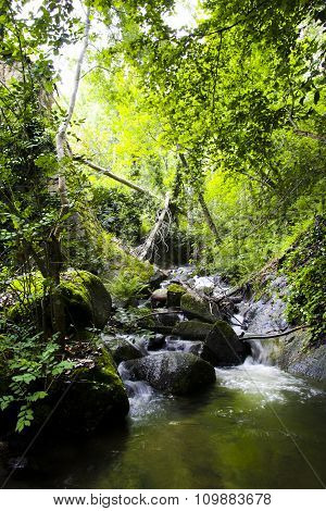 Stream Of Ambroz Valley, Banos De Montemayor, Extremadura
